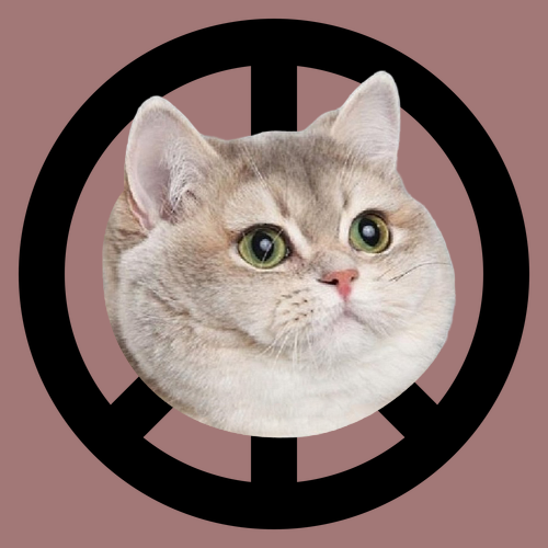 All this cat wants is world peace - 948
