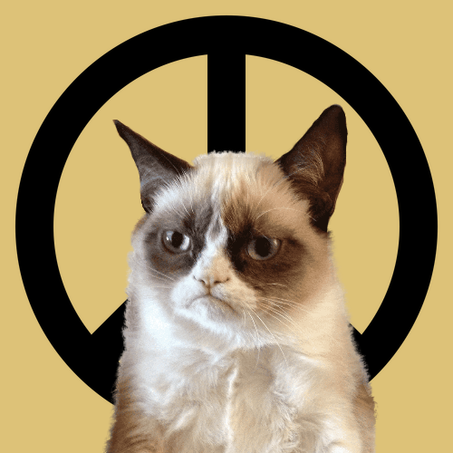 All this cat wants is world peace - 949