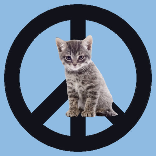 All this cat wants is world peace - 950