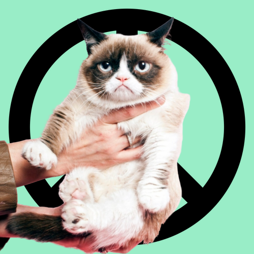 All this cat wants is world peace - 952