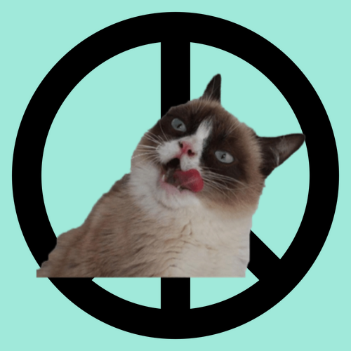 All this cat wants is world peace - 954