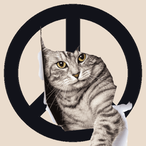 All this cat wants is world peace - 955